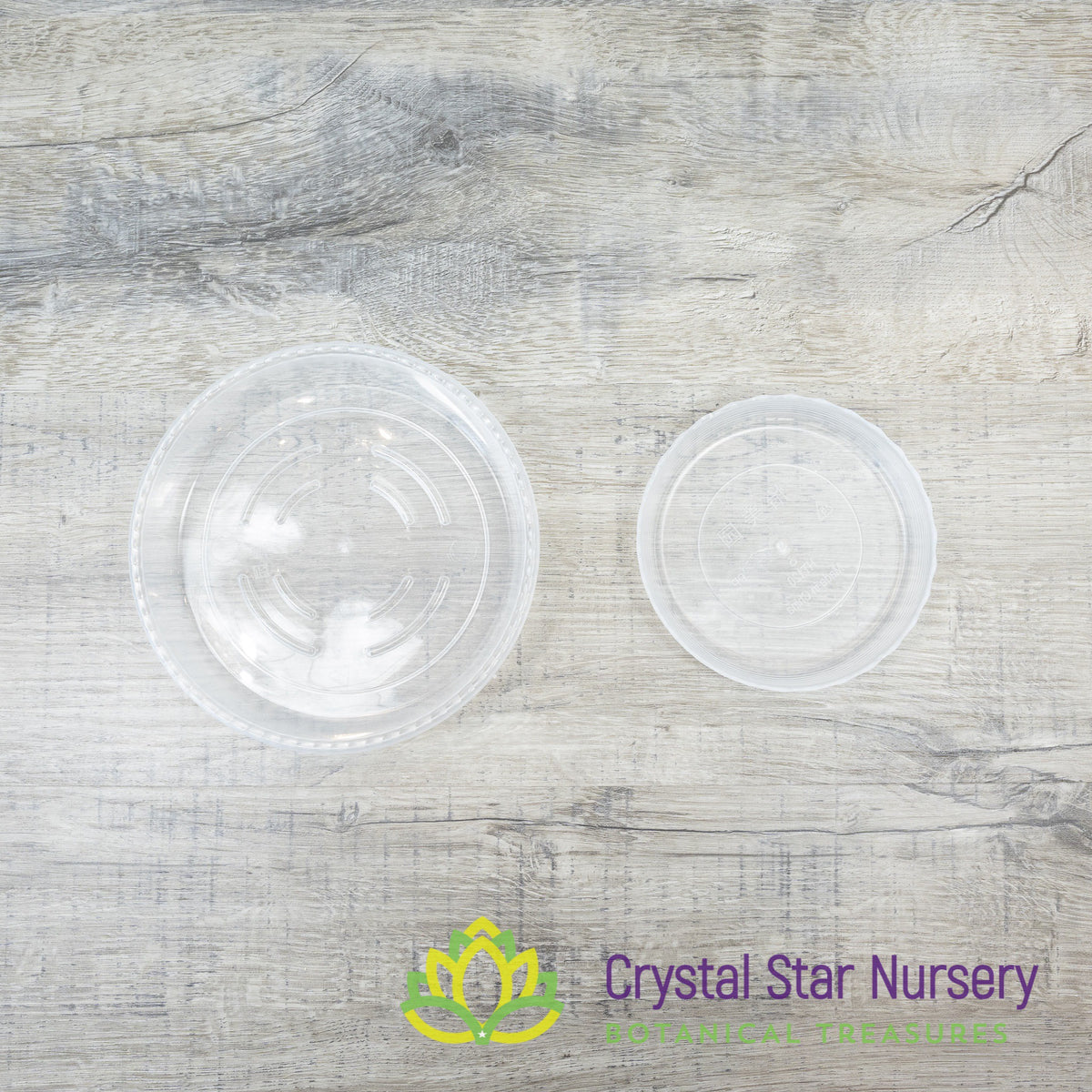 Clear Saucer/Tray