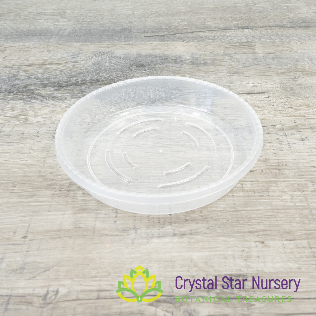 Clear Saucer/Tray